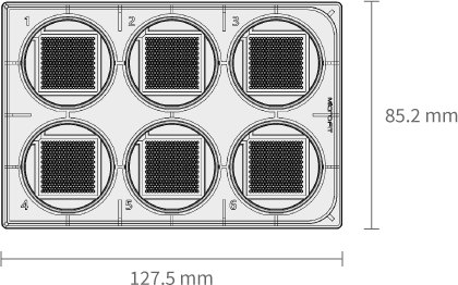 H389600P-6 well